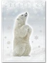 H13654 Polar Bear Holiday Card