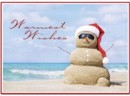 HP13306 Sanda Claus Holiday Cards