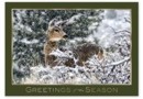 HP14309 Woodland Visitor Holiday Card