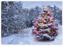 HP14318 Beacon of Joy Christmas Cards